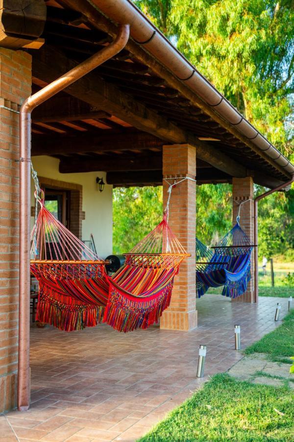 Agriturismo Anfora Della Vita Масса-Мариттіма Екстер'єр фото