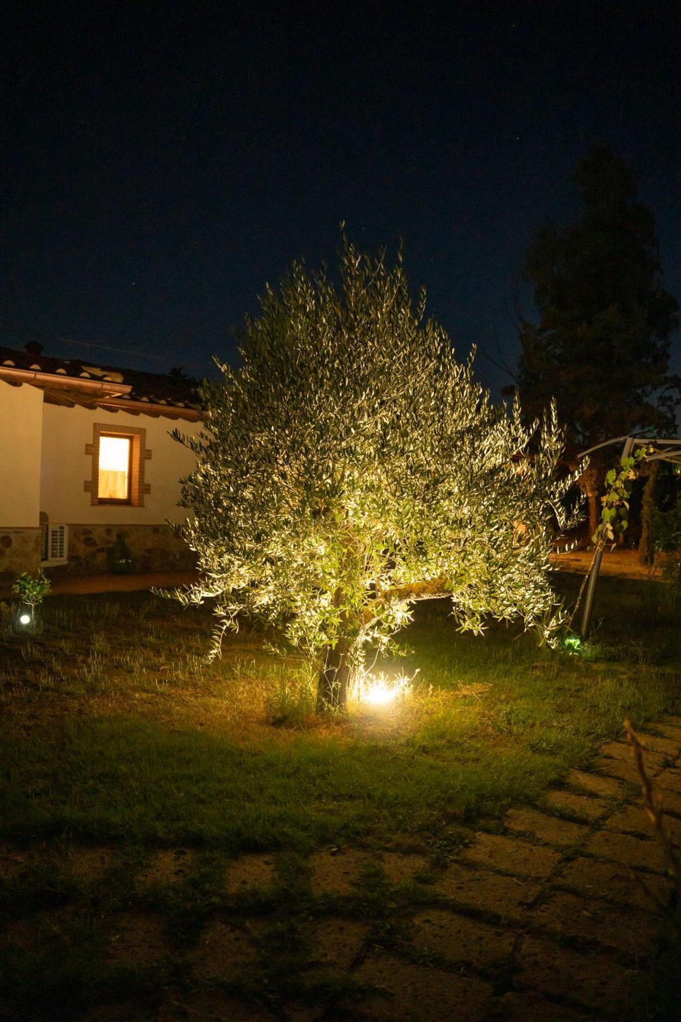 Agriturismo Anfora Della Vita Масса-Мариттіма Екстер'єр фото