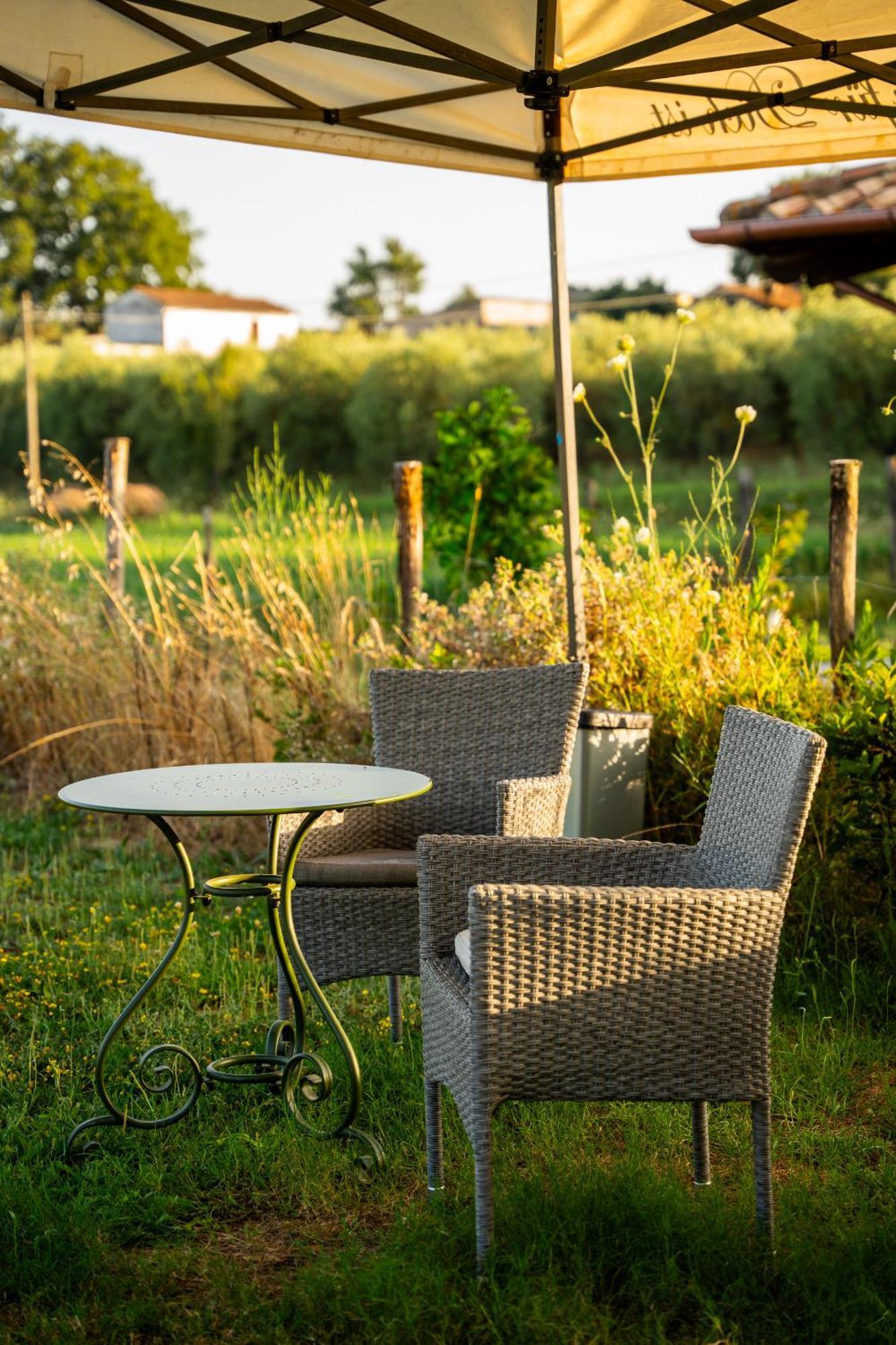 Agriturismo Anfora Della Vita Масса-Мариттіма Екстер'єр фото